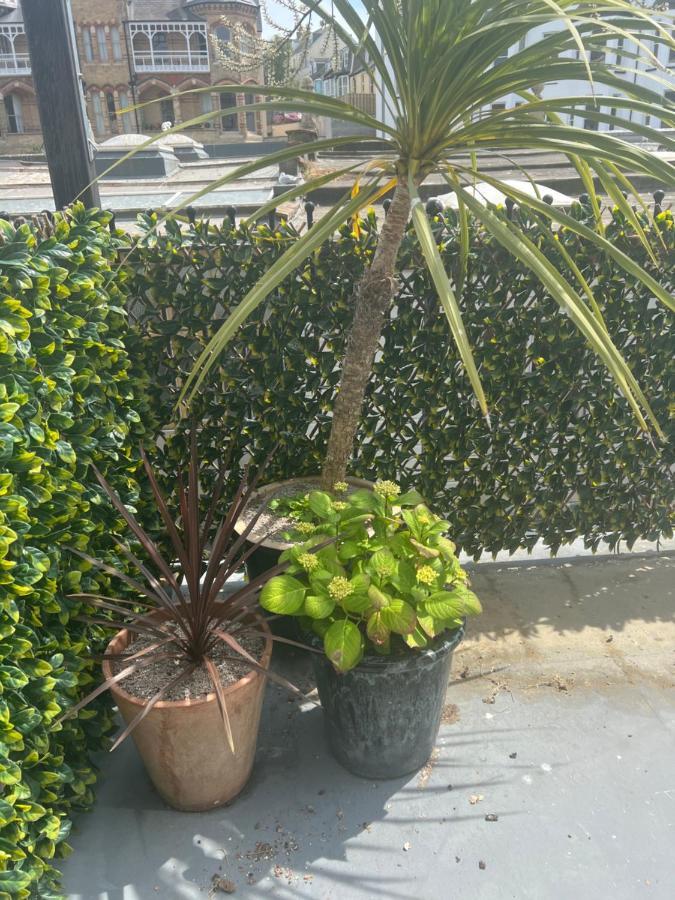 אילפרקומב Beautiful Apartment,No 1, With Parking מראה חיצוני תמונה